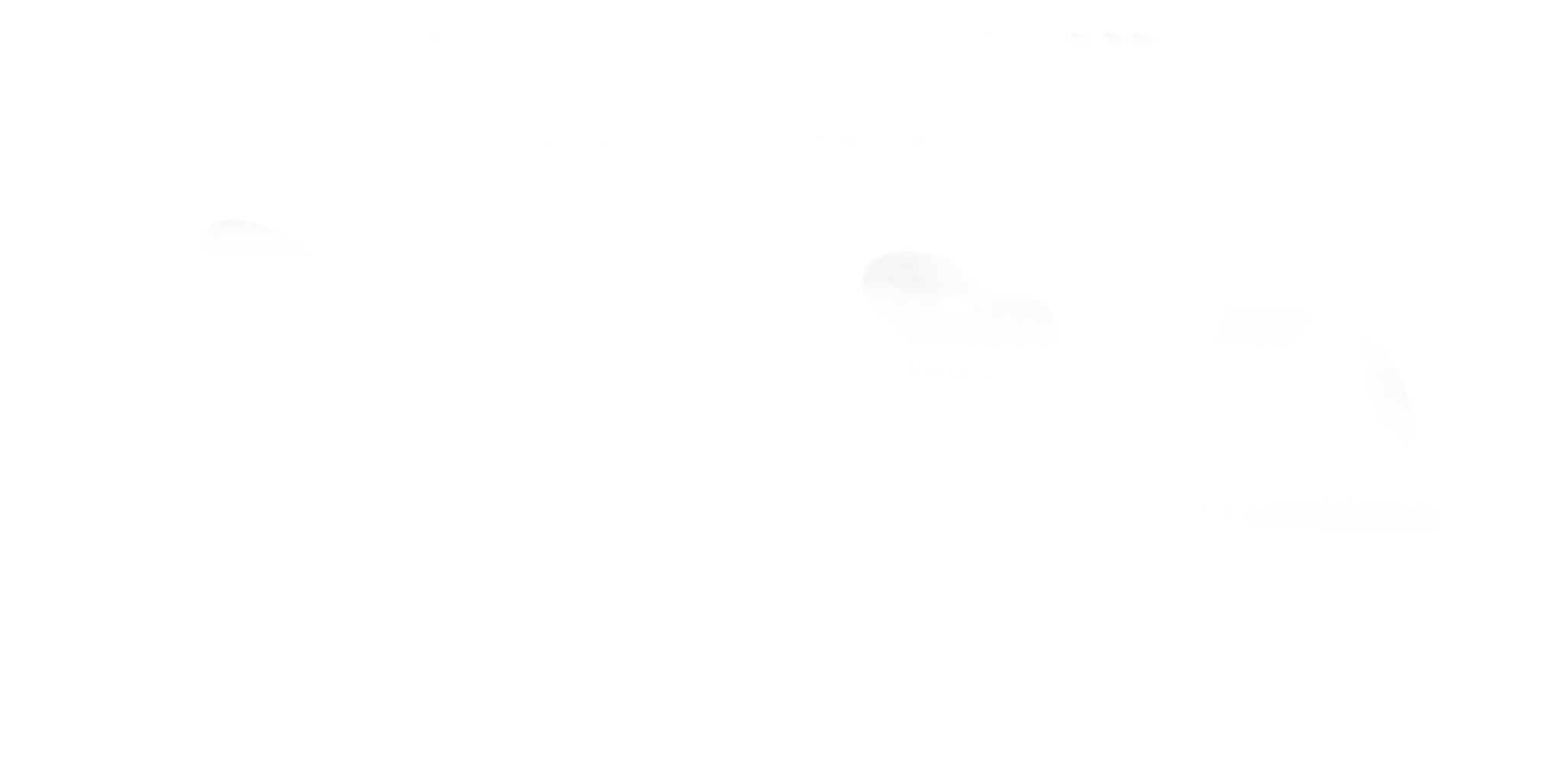 MORISAN Logo